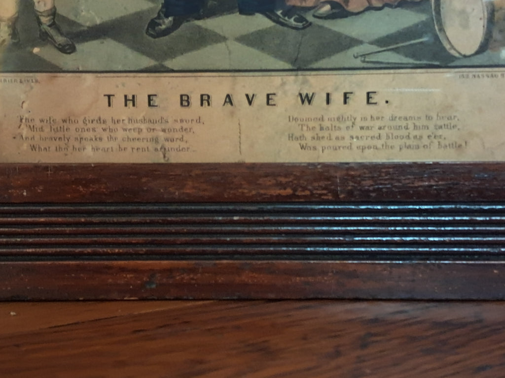 The Brave Wife 1860