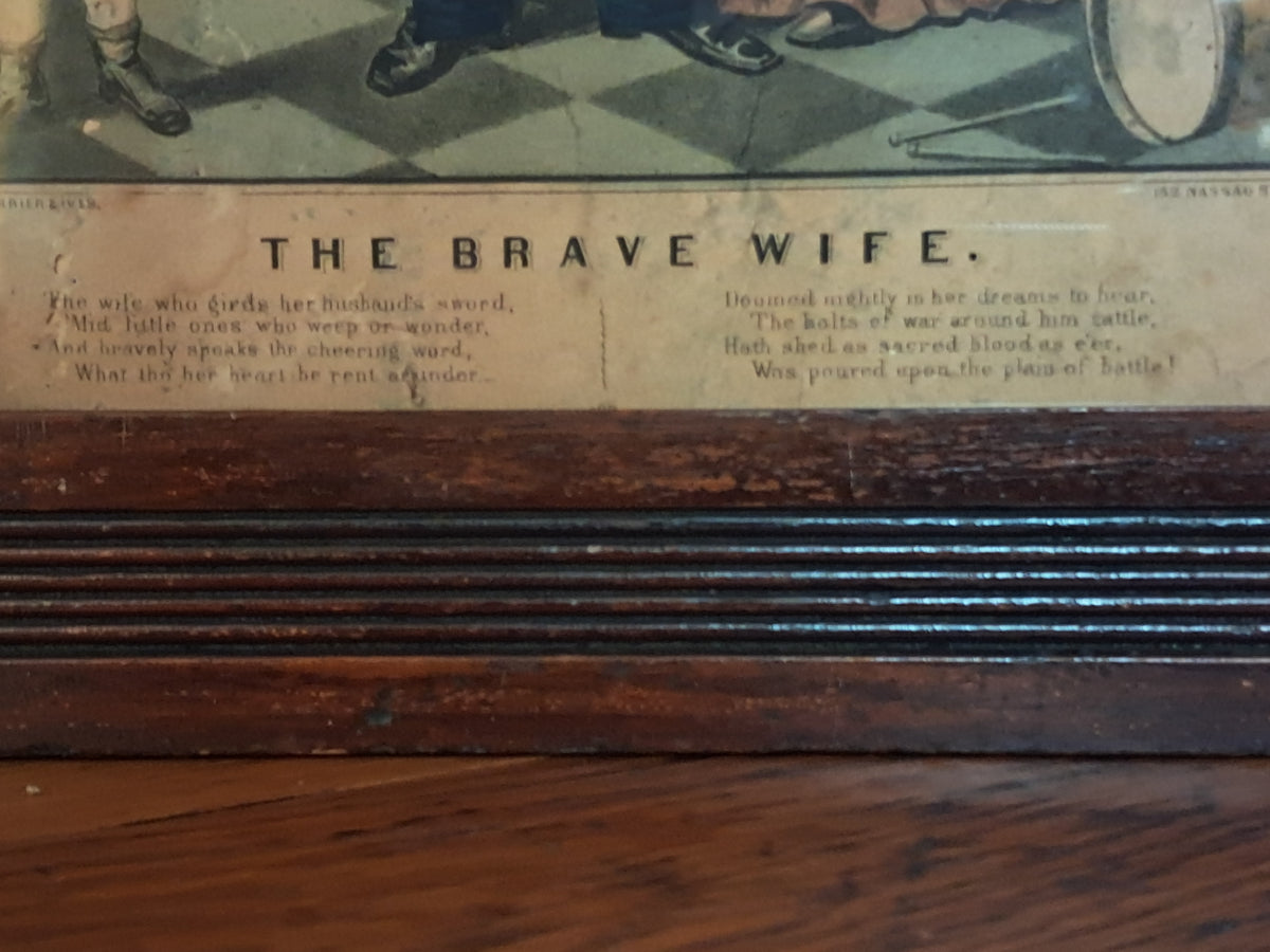 The Brave Wife 1860