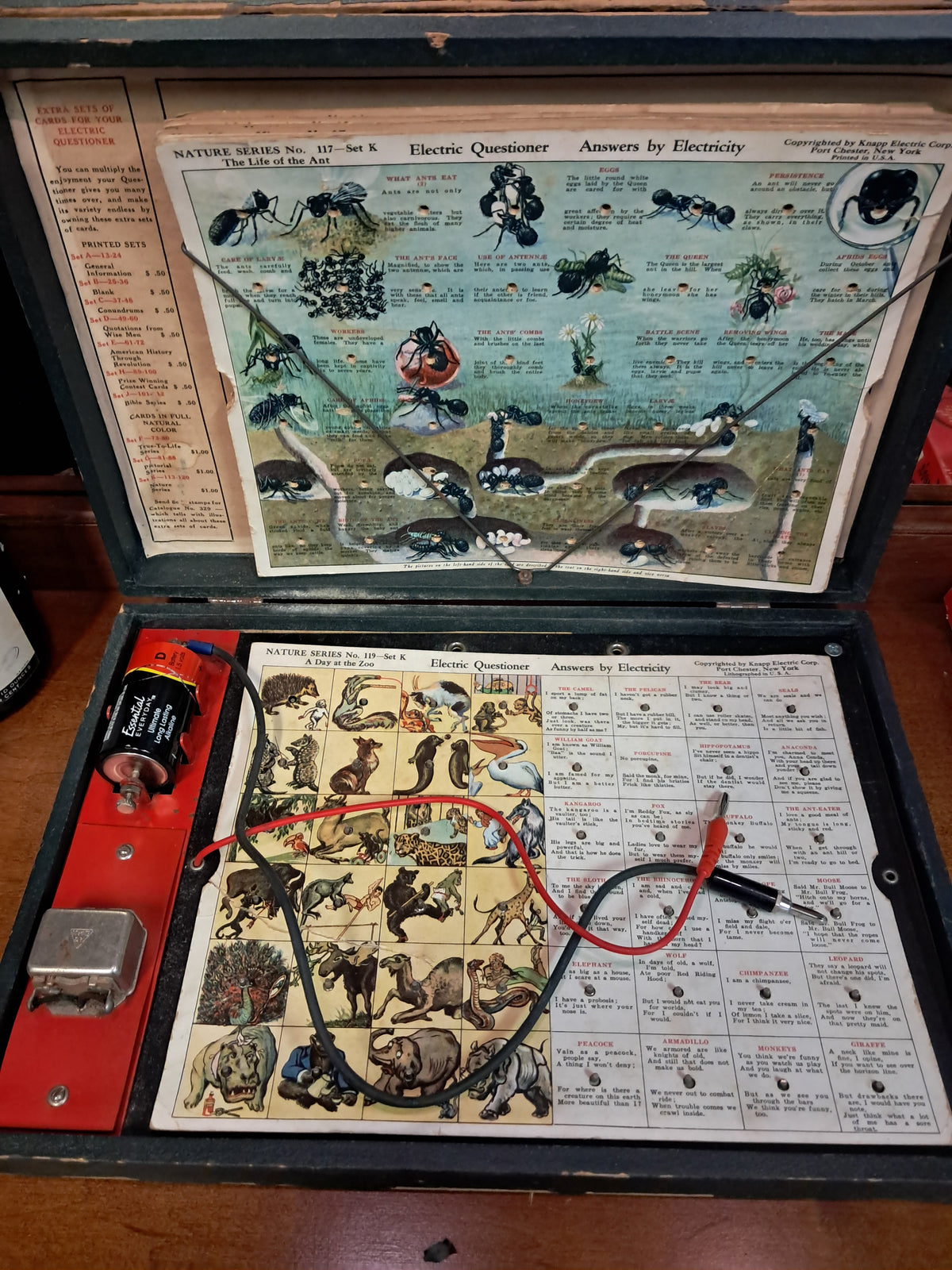 Knapp Electric Questioner